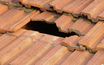 roof repair Dale