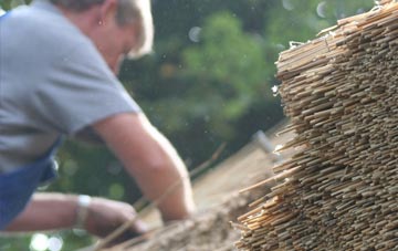 professional Dale thatchers